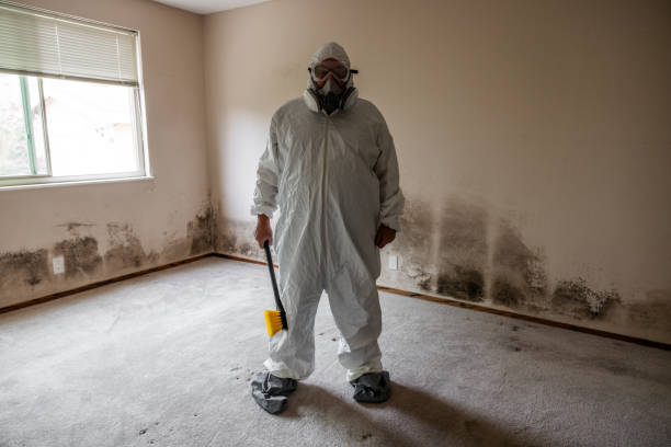 Best Mold Testing  in De Smet, SD